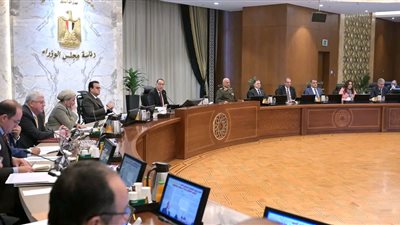 استثمارات ب600 مليون دولار.. الحكومة: الرخصة الذهبية لمشروعي الطاقة والأسمدة لتعزيز الاستثمار الأجنبي