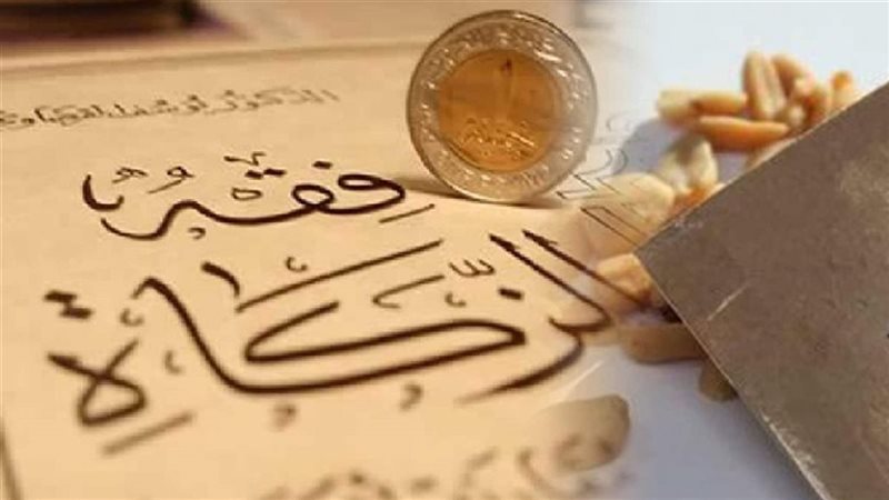 الزكاة على المال