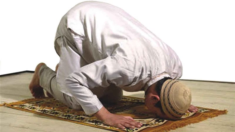 حكم الجمع بين الظهر
