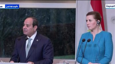 الوضع في السودان وسوريا.. ملفات تصدرت مباحثات الرئيس السيسي ورئيسة وزراء الدنمارك