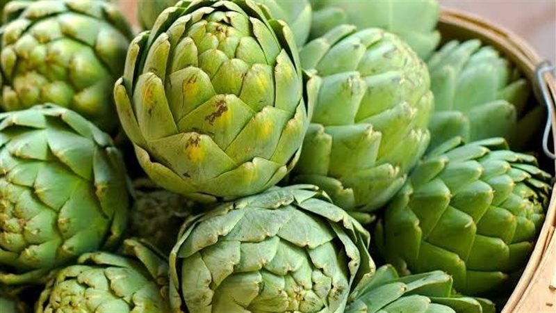 الخرشوف وفوائده الرائعة