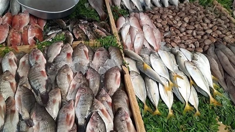 أسعار السمك والجمبري