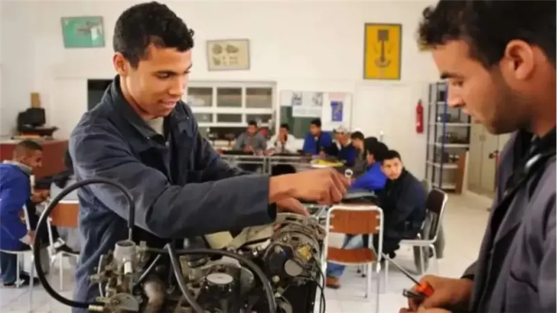 تقييم المدارس الفنية