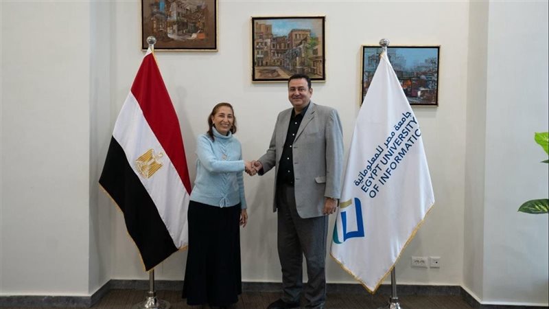 رئيس مصر للمعلوماتية
