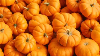 طرق عمل القرع الحلو بالمنزل.. وصفات مختلفة ولذيذة