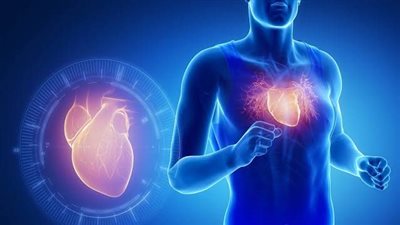 أطعمة لحماية القلب.. 10 اختيارات يومية لصحة أفضل