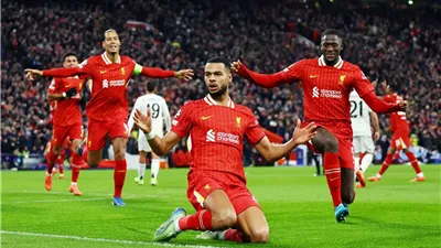 تاريخ مواجهات ليفربول ضد توتنهام قبل قمة الدوري الإنجليزي 