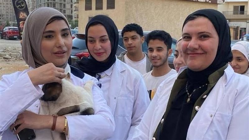 الموجز