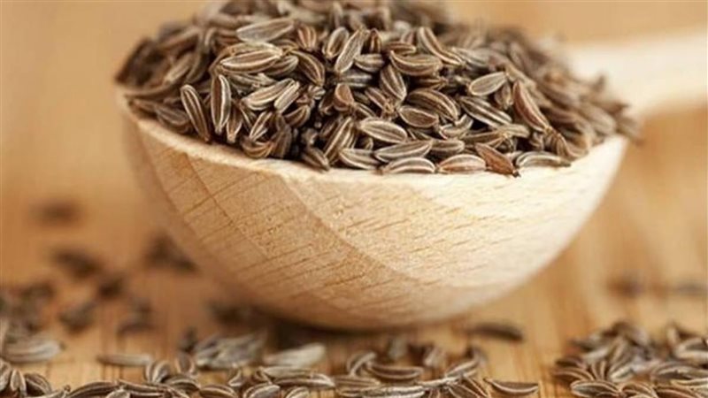 فوائد الكراوية الصحية