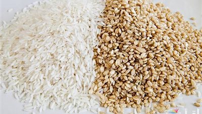 تراجع ملحوظ في سعر الأرز الشعير اليوم السبت 14-12-20224