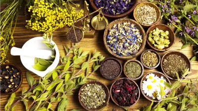 أعشاب طبيعية لتنظيف المعدة والأمعاء وتفتيت الحصوات