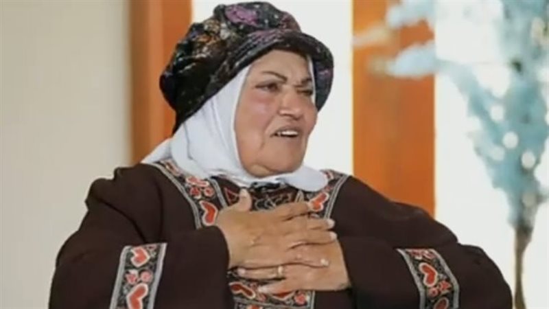 الفنانة وفاء كامل