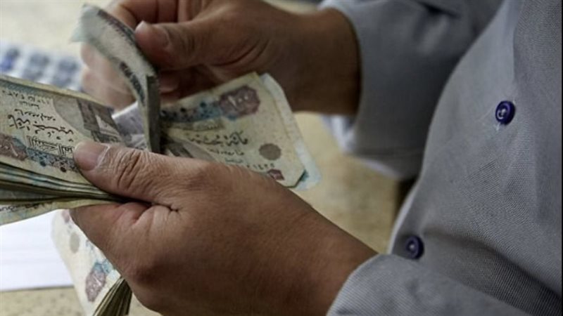 معاشات يناير 2025