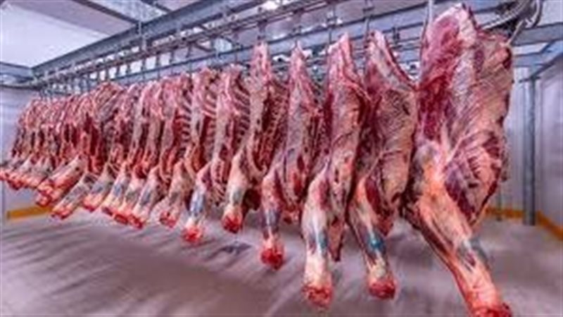 أسعار اللحوم في مصر