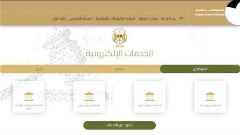 الإستعلام عن قضية