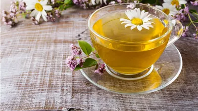 شاي البابونج.. كنز طبيعي لفوائد صحية متعددة تعرف عليها