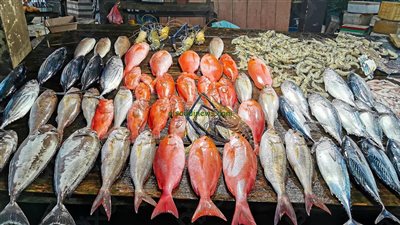 تعرف على أسعار الأسماك المختلفة والجمبري اليوم 17 ديسمبر 2025