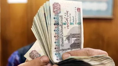 صرف معاشات شهر يناير وقيمة الزيادة الجديدة .. خطوات الاستعلام إلكترونيًا