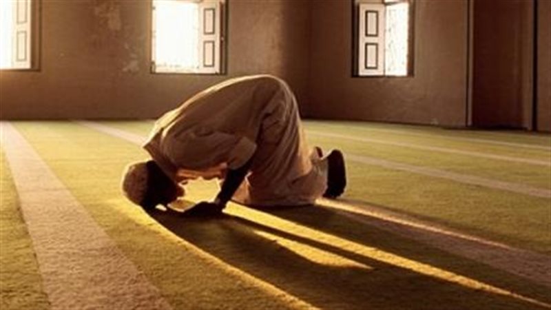 الشروق اليوم