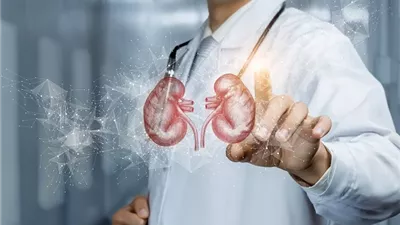 أفضل المشروبات الطبيعية لتنظيف الكلى ومنع تراكم السموم والحصوات