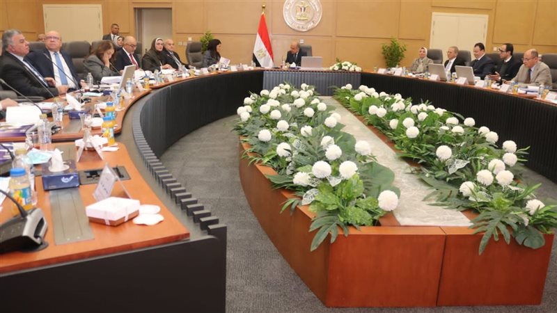 وزير الكهرباء خلال