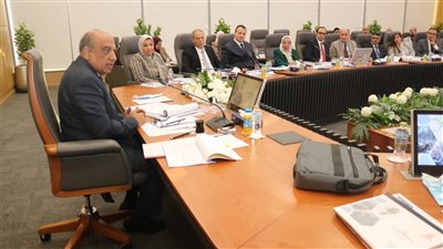 وزير الكهرباء يتابع مستجدات تحديث الشبكة القومية وخفض استهلاك الوقود