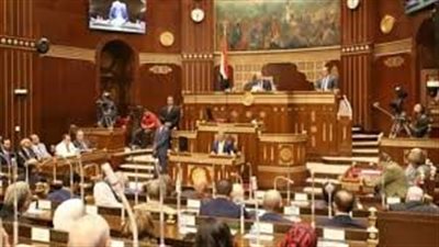 مجلس الشيوخ يقر قانون المسؤولية الطبية .. بالموافقة والرفض علي بعض المواد 