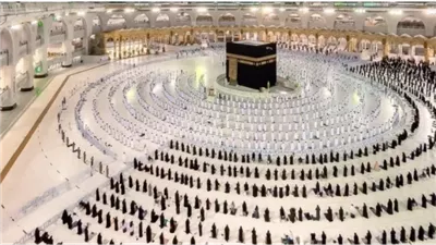 أسعار الحج البري 2025.. وكيفية الاستعلام عن النتيجة