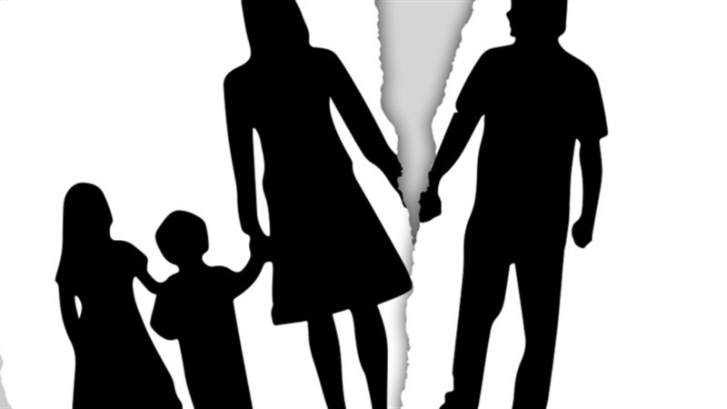دعوى ضم الحضانة