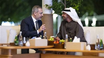 تفاصيل لقاء رئيس دولة الإمارات ووزير الخارجية التركي