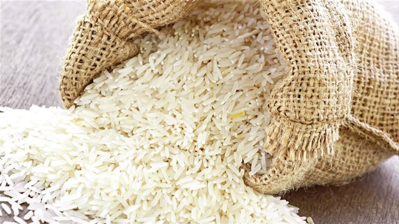 أسعار الأرز اليوم