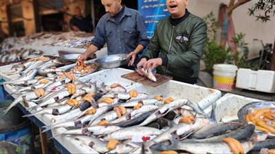 إليك تفاصيل أسعار الأسماك في الأسواق اليوم الأحد 29 ديسمبر 2025