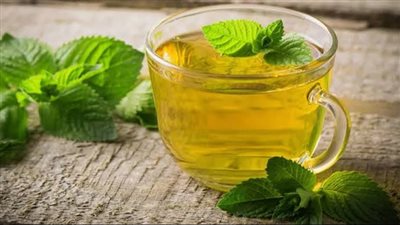 فوائد شرب الشاي الأخضر لصحة الجسم.. سر من أسرار الطبيعة