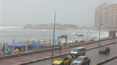 لمواجهة الطقس السيئ.. تعطيل الدراسة بالإسكندرية ومنح الموظفات إجازة استثنائية