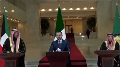 وفد دول مجلس التعاون الخليجي يؤكد على دعمه الكامل لسوريا