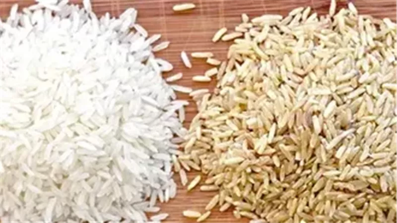 سعر طن الأرز الشعير