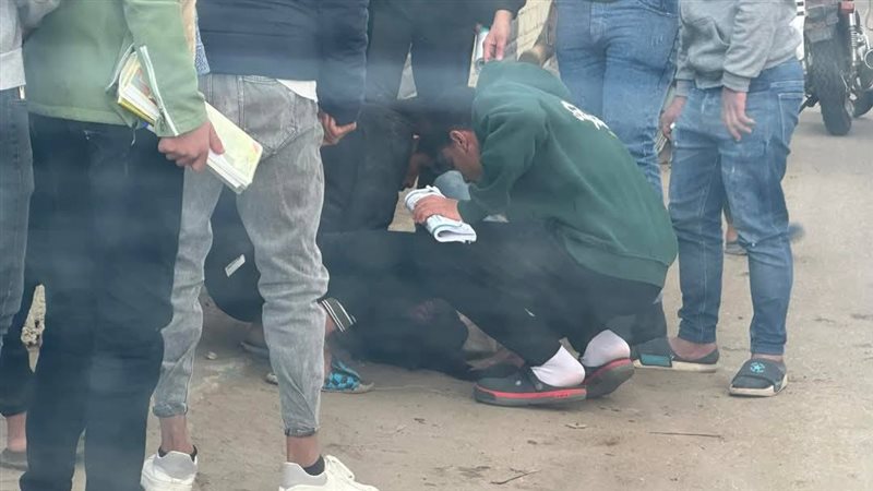 حادث شربين