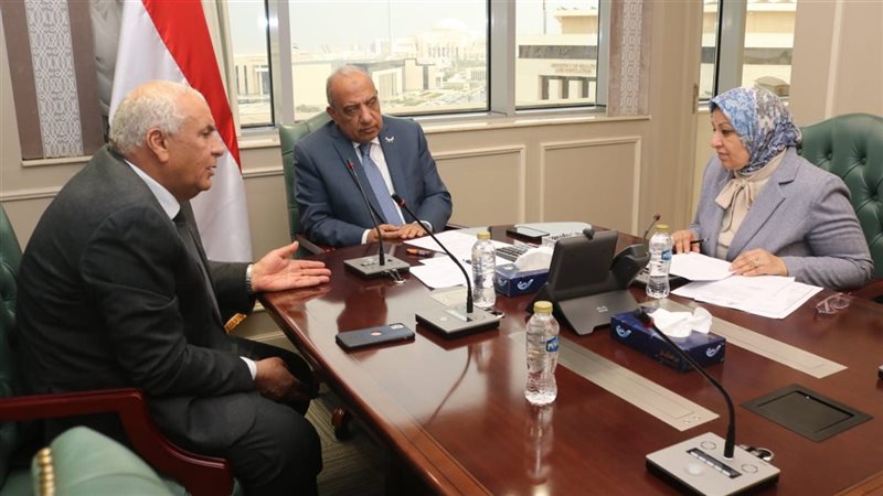 لقاء وزير الكهرباء