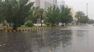 حالة الطقس غداً السبت .. درجات الحرارة بكافة المحافظات 