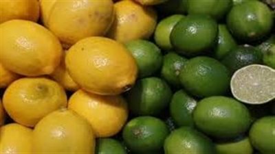ارتفاع أسعار الليمون .. 3 أسباب وراء الزيادة وتوقعات بإنخفاضها في مارس 