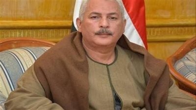 أسعار الخضروات في مصر.. دعم حكومي وتحديات مستقبلية