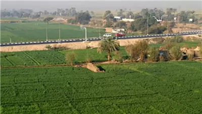 خطوات الحصول على أرضي وزارة الزراعة 2025.. اعرف الشروط