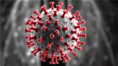 الصحة تكشف مفاجآت بشأن فيروس HMPV في الصين.. إليك طرق الوقاية والعلاج