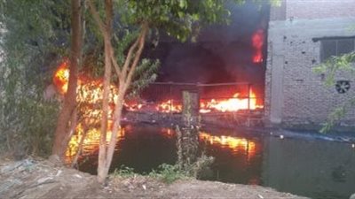 بسبب الخلافات بين الأخين.. السيطرة على حريق حظيرة مواشي بسوهاج