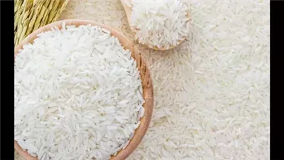 تعرف على سعر طن الأرز الشعير اليوم الأحد 5 يناير 2025 في الأسواق