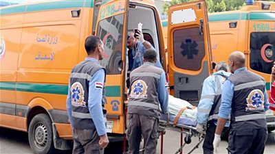 مصـ.ـرع شخص وإصابة اثنين في حـ.ـادث تصـ.ـادم بالبدرشين وغـ.ـرق حداد بترعة المريوطية