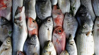 تباين أسعار الأسماك والجمبري في سوق العبور للجملة اليوم 8 يناير 2025