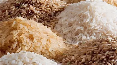 استقرار سعر الأرز اليوم الخميس 9 يناير 2025 في الأسواق 