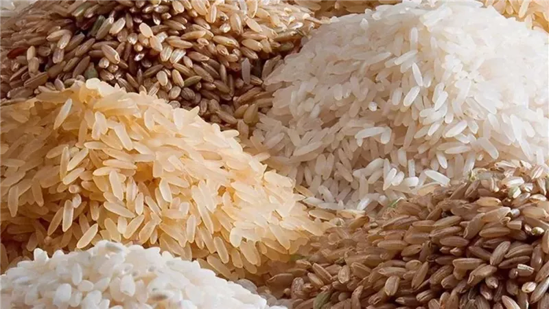 سعر الأرز اليوم