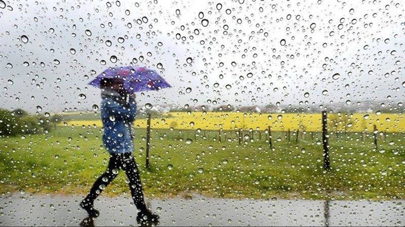 هل التعرض لماء المطر